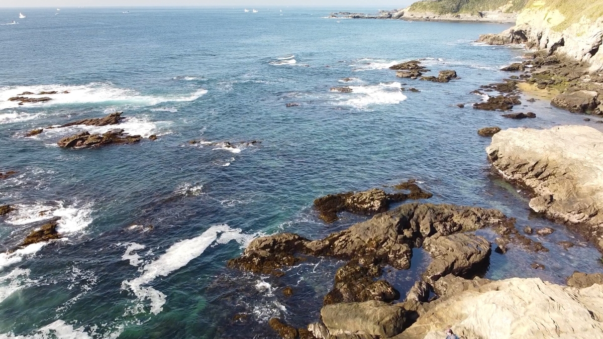 f:id:xoc:20201130124048j:plain