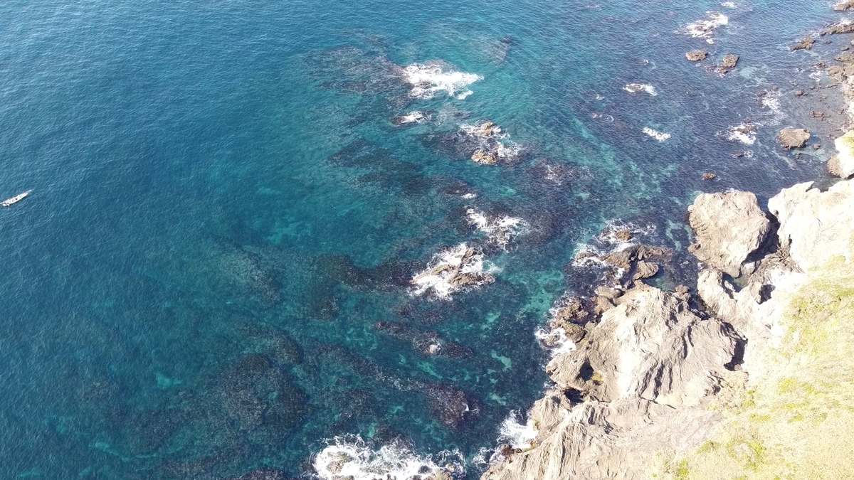 f:id:xoc:20201213201919j:plain