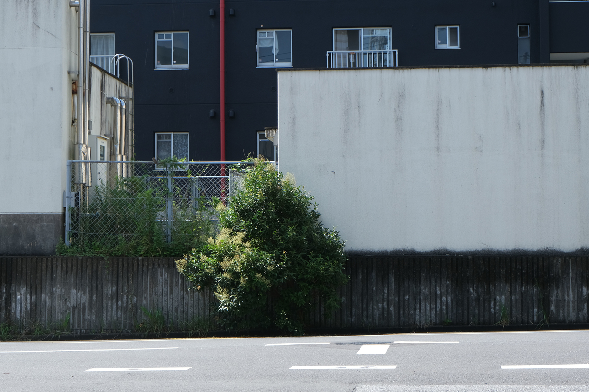 f:id:xoc:20210710092145j:plain