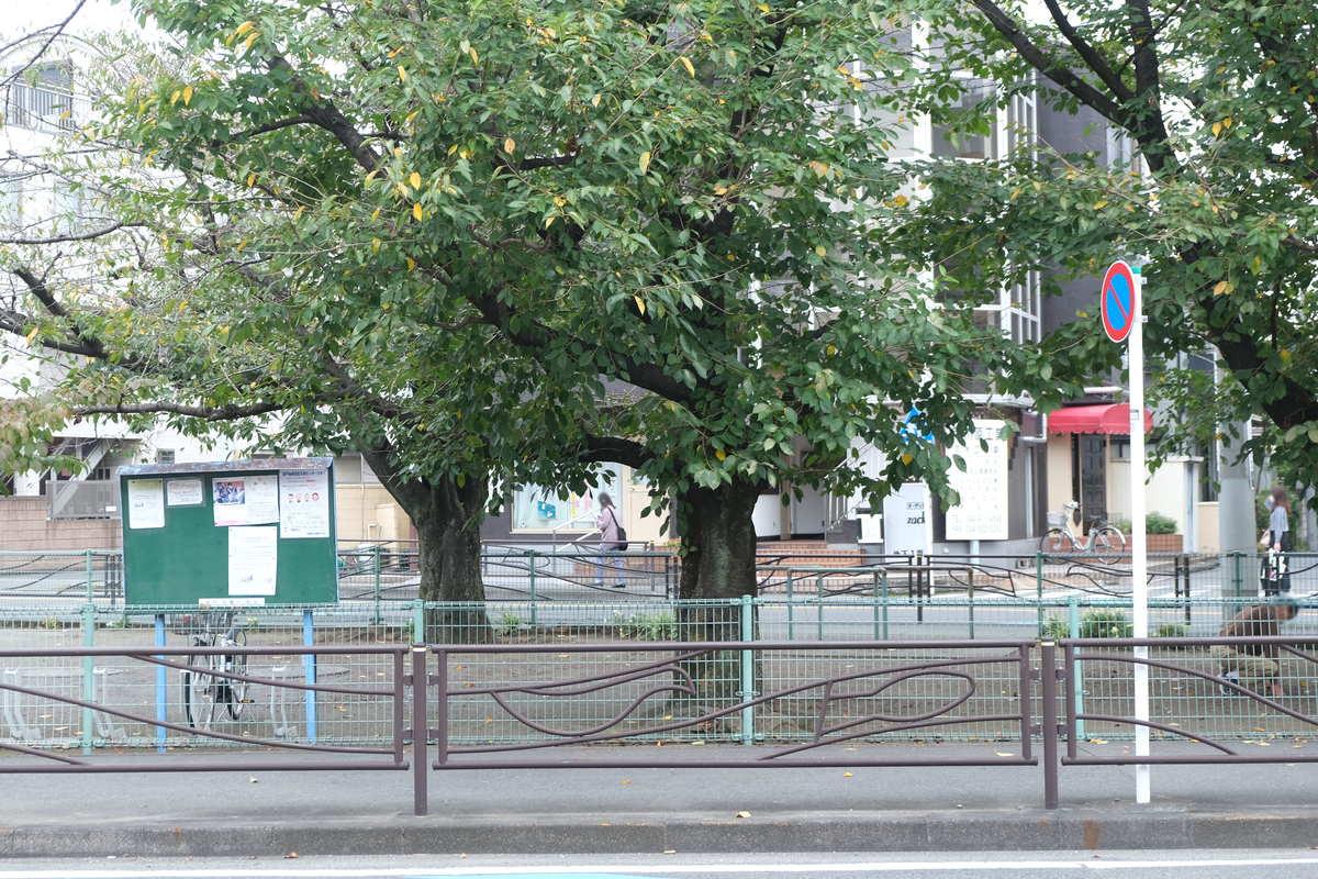 f:id:xoc:20210926132758j:plain