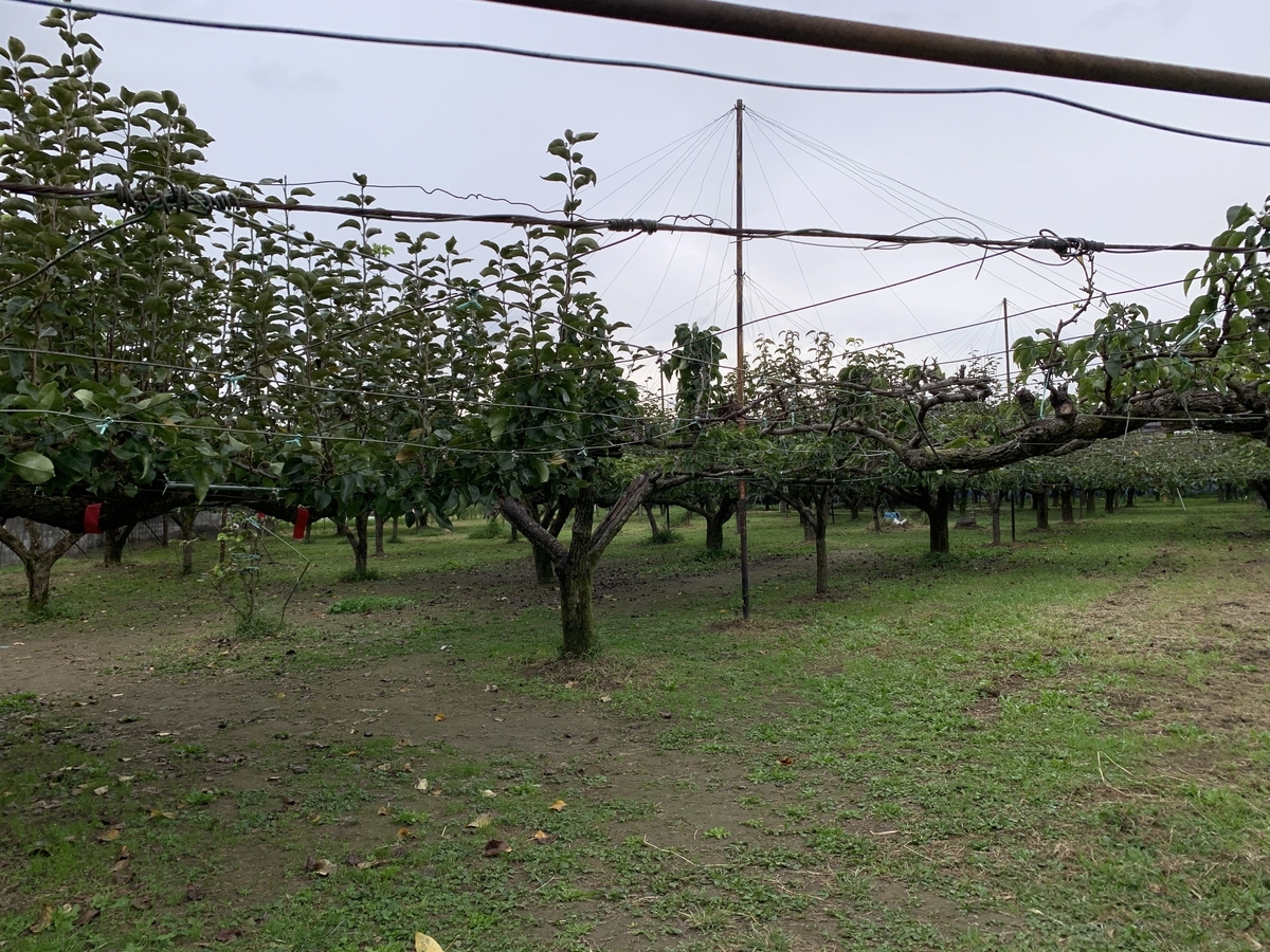 f:id:xoc:20210926141854j:plain