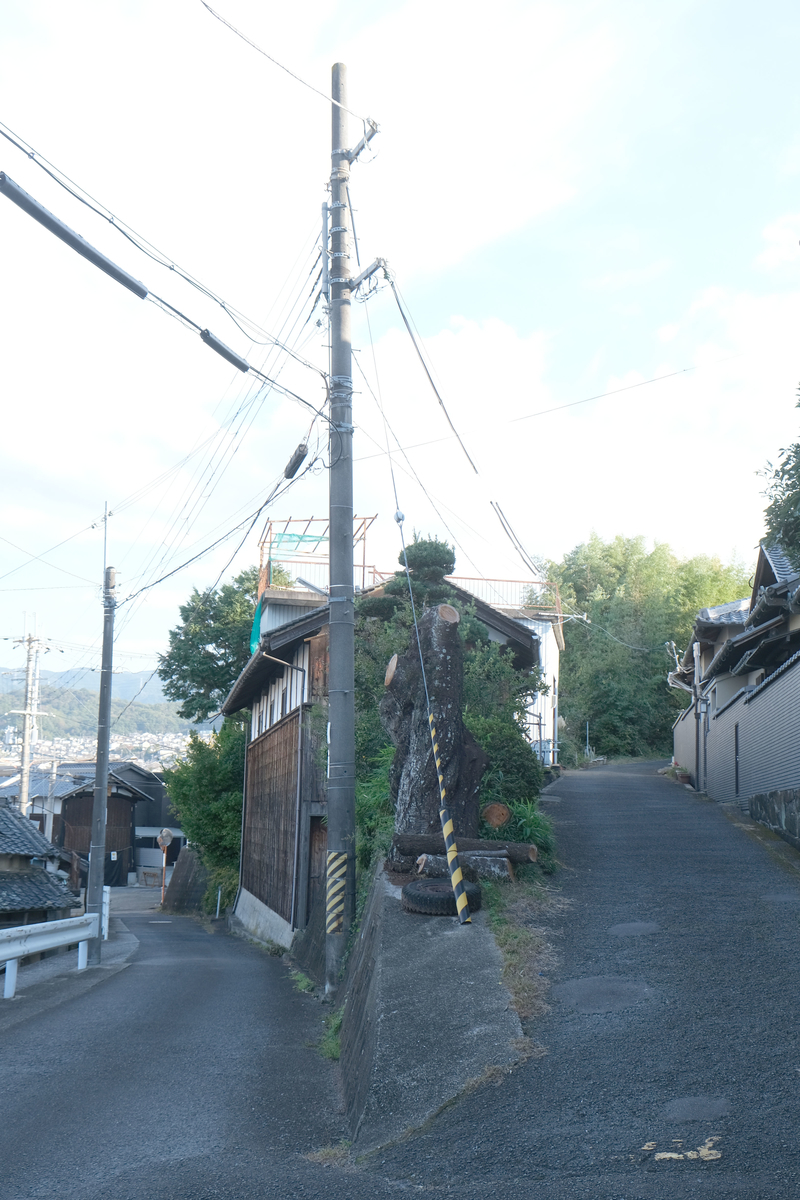 f:id:xoc:20211030152237j:plain