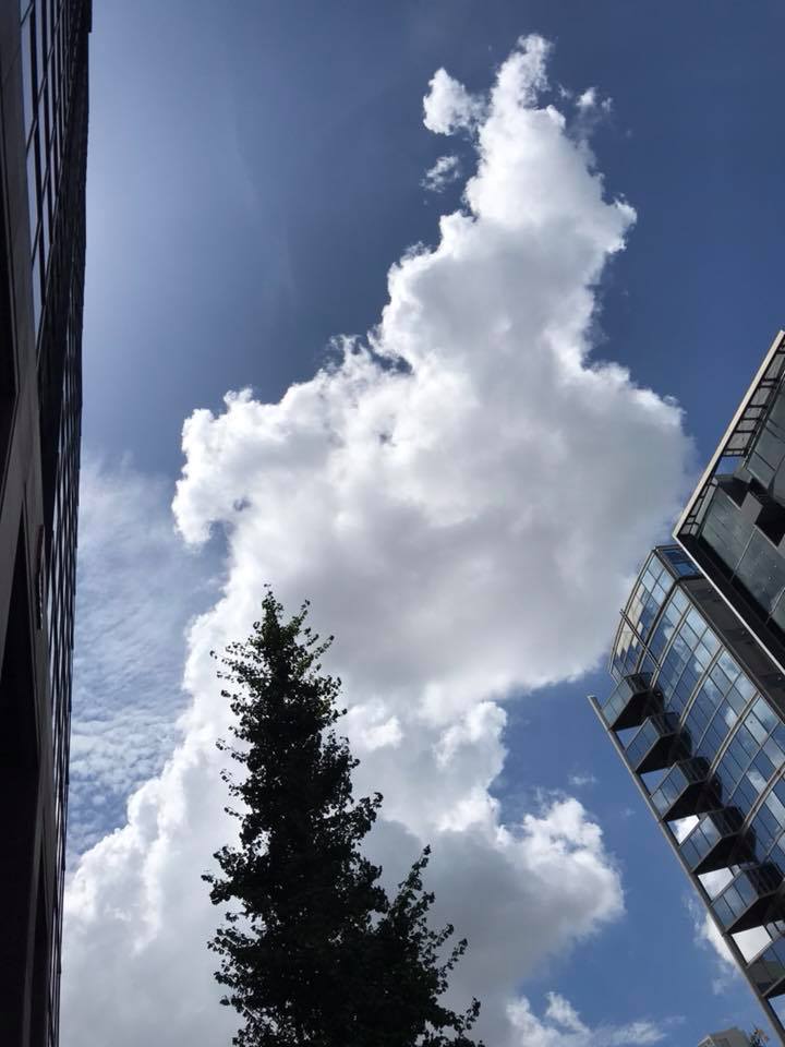 f:id:xocean2015717:20180821133413j:plain f:id:xocean2015717:20180821133413j:plain