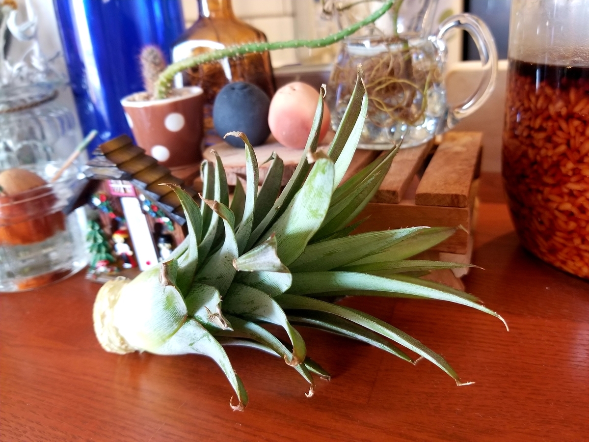 f:id:xoyu-nxo:20190414101159j:plain f:id:xoyu-nxo:20190414101159j:plain