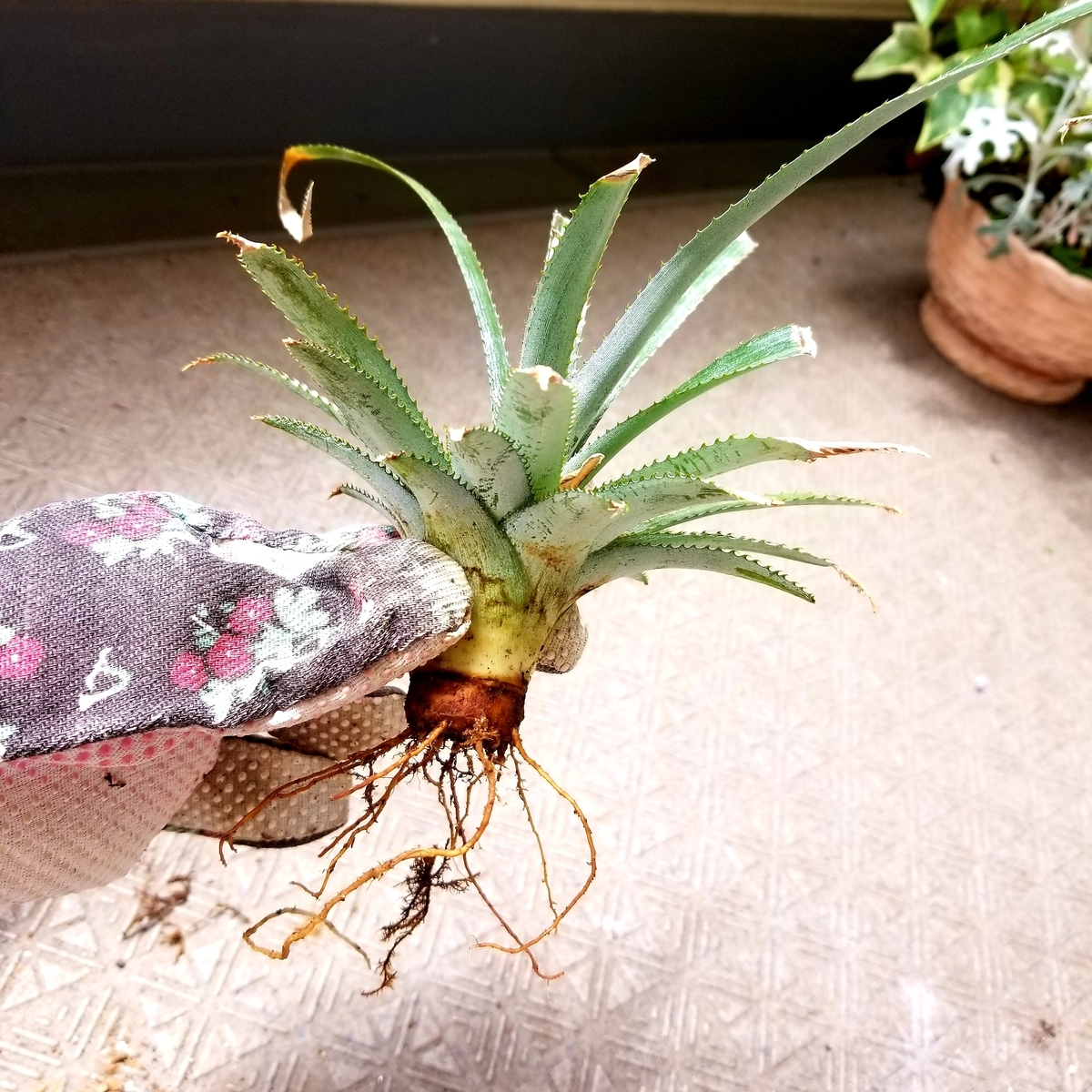 f:id:xoyu-nxo:20190514220719j:plain f:id:xoyu-nxo:20190514220719j:plain