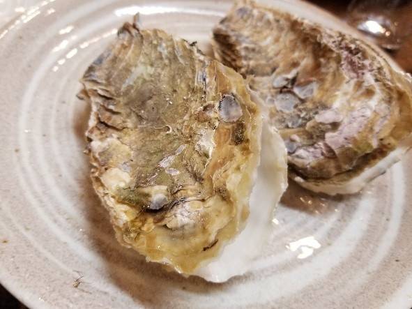 f:id:xoyu-nxo:20200104094430j:image