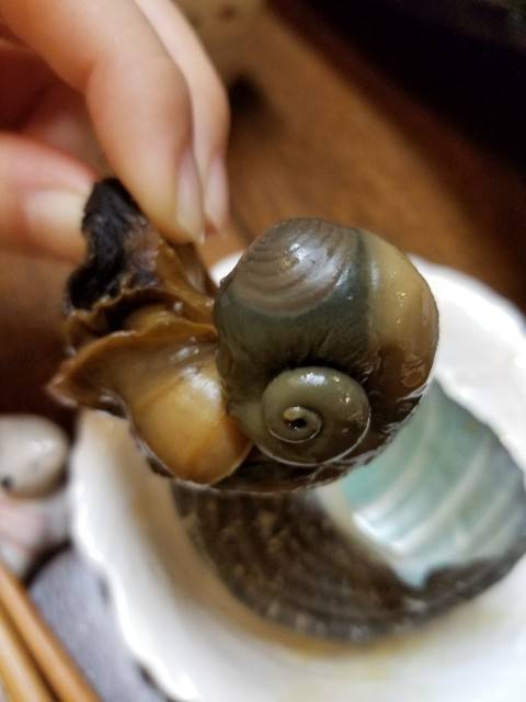 f:id:xoyu-nxo:20200104094439j:image