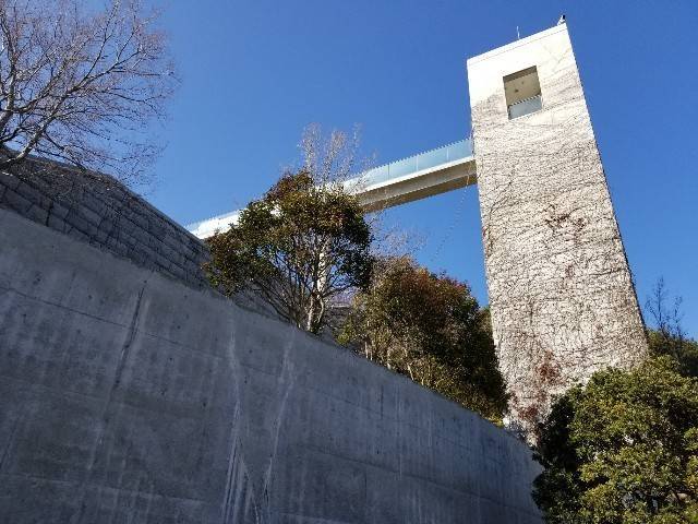 f:id:xoyu-nxo:20200219201541j:image