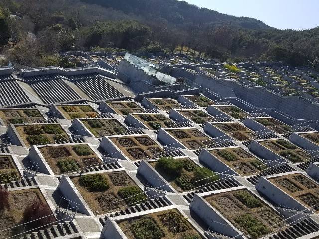 f:id:xoyu-nxo:20200219201830j:image