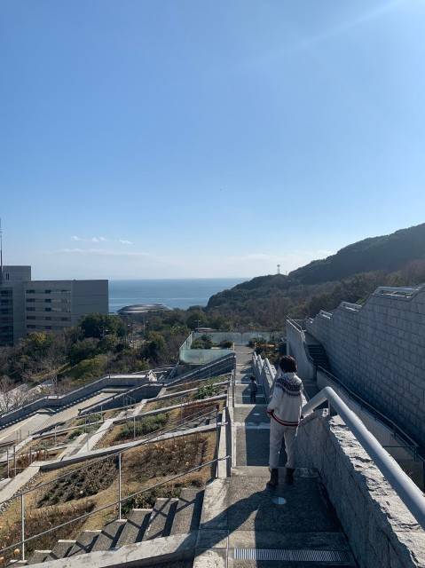 f:id:xoyu-nxo:20200219202251j:image