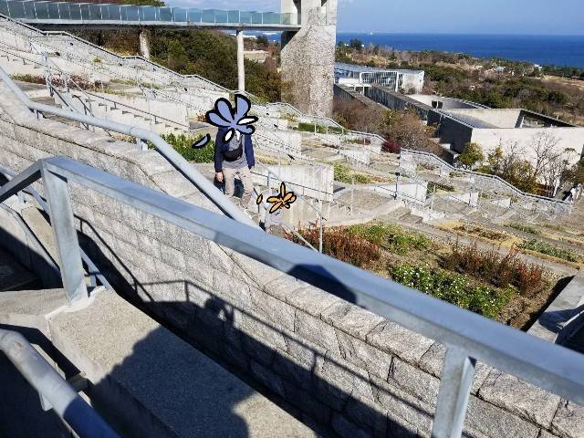 f:id:xoyu-nxo:20200219202351j:image