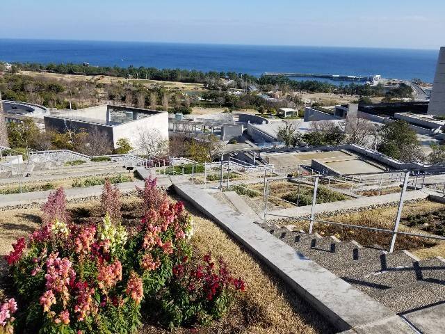 f:id:xoyu-nxo:20200219202607j:image