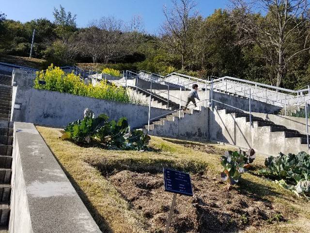 f:id:xoyu-nxo:20200219202733j:image