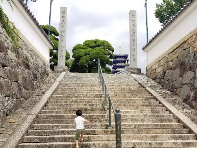 f:id:xoyu-nxo:20200706114314j:image f:id:xoyu-nxo:20200706114314j:image