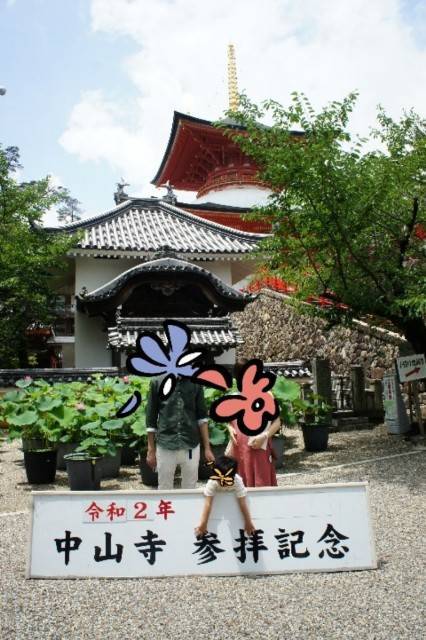 f:id:xoyu-nxo:20200706114413j:image f:id:xoyu-nxo:20200706114413j:image