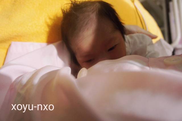 f:id:xoyu-nxo:20200811234447j:image