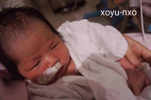 f:id:xoyu-nxo:20200811235010j:image