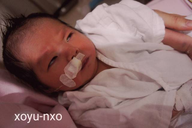 f:id:xoyu-nxo:20200811235039j:image