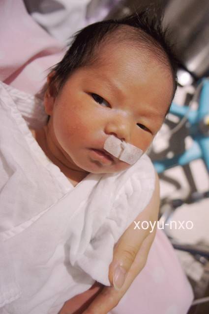 f:id:xoyu-nxo:20200812212127j:image