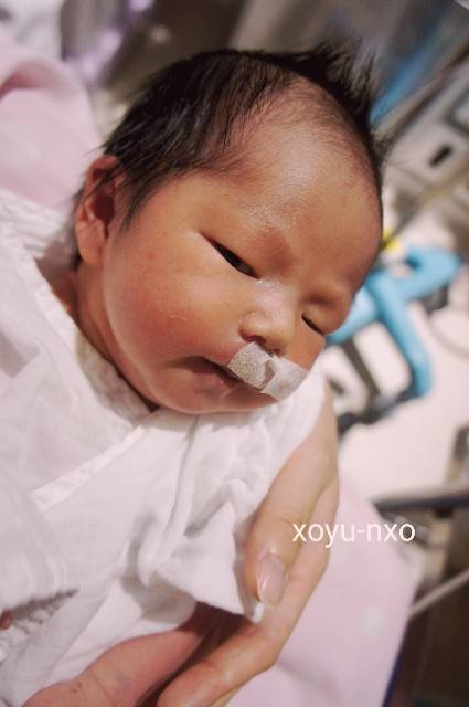 f:id:xoyu-nxo:20200812212150j:image