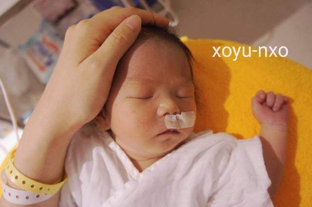 f:id:xoyu-nxo:20200813063445j:image