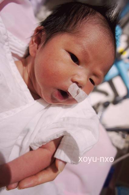 f:id:xoyu-nxo:20200813074420j:image