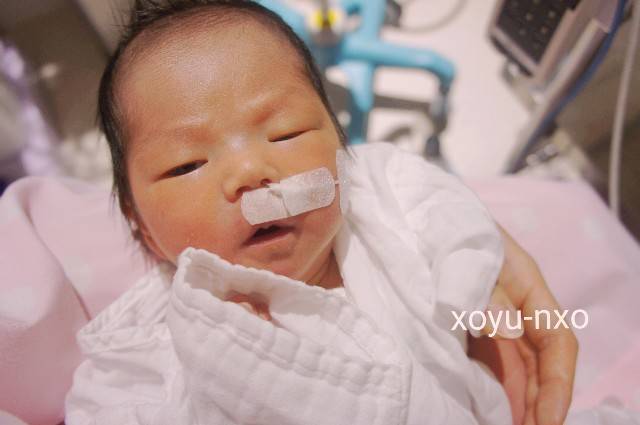 f:id:xoyu-nxo:20200813074432j:image