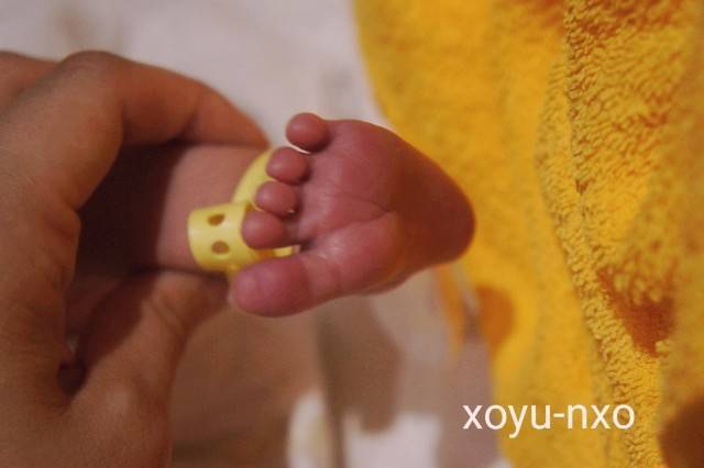 f:id:xoyu-nxo:20200814092039j:image