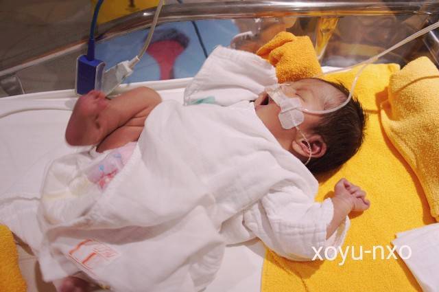 f:id:xoyu-nxo:20200815221453j:image f:id:xoyu-nxo:20200815221453j:image