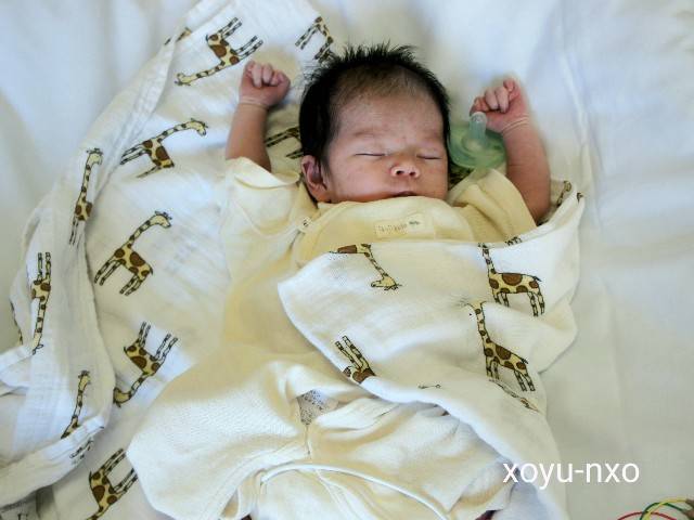 f:id:xoyu-nxo:20200904111439j:image