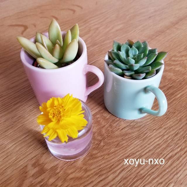 f:id:xoyu-nxo:20200927154332j:image