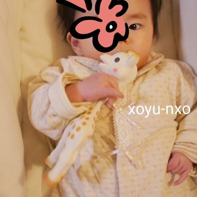 キリンのソフィ―