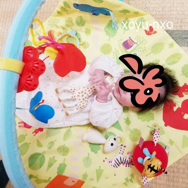 キリンのソフィ―とおともだち