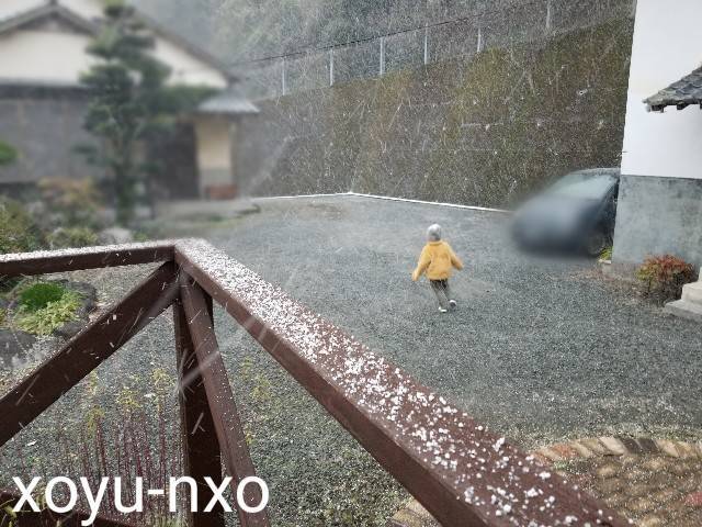 f:id:xoyu-nxo:20210111120434j:image f:id:xoyu-nxo:20210111120434j:image