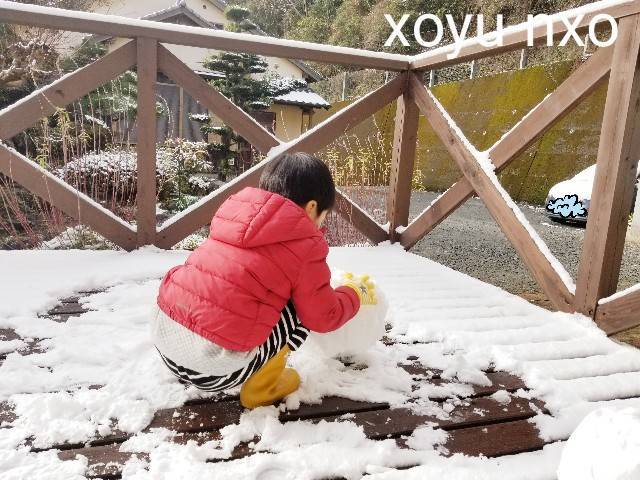 f:id:xoyu-nxo:20210111120445j:image f:id:xoyu-nxo:20210111120445j:image