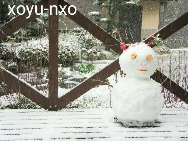 f:id:xoyu-nxo:20210111120519j:image f:id:xoyu-nxo:20210111120519j:image