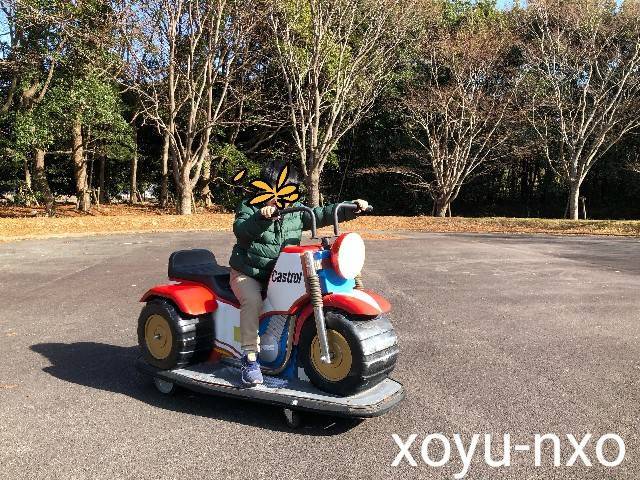 f:id:xoyu-nxo:20210111120530j:image f:id:xoyu-nxo:20210111120530j:image