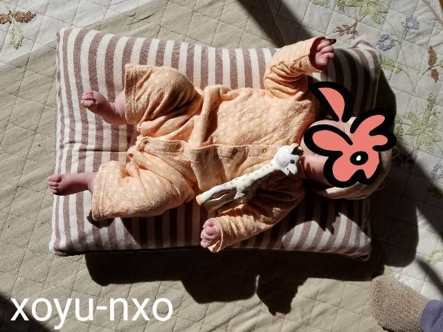 f:id:xoyu-nxo:20210111120557j:image f:id:xoyu-nxo:20210111120557j:image