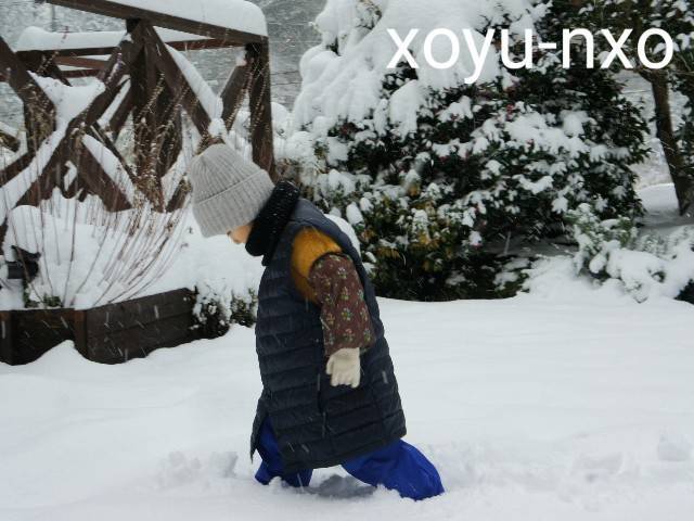 f:id:xoyu-nxo:20210111120617j:image f:id:xoyu-nxo:20210111120617j:image