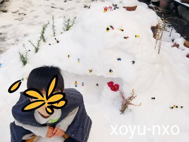 f:id:xoyu-nxo:20210111120703j:image f:id:xoyu-nxo:20210111120703j:image