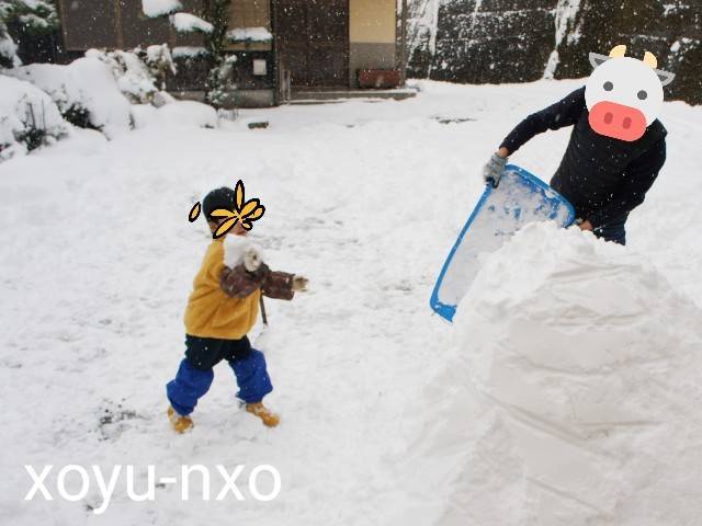 f:id:xoyu-nxo:20210111163621j:image f:id:xoyu-nxo:20210111163621j:image