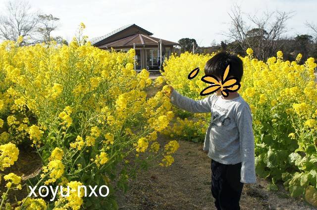 f:id:xoyu-nxo:20210328133731j:image