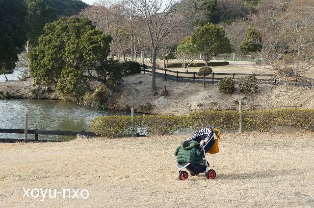 f:id:xoyu-nxo:20210328133743j:image