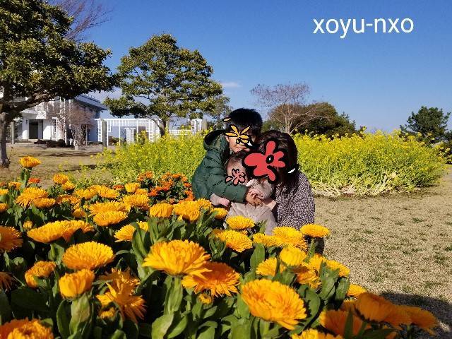 f:id:xoyu-nxo:20210328134603j:image