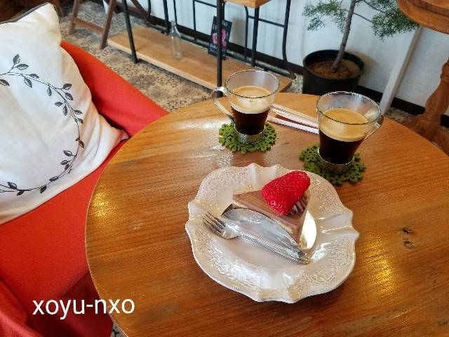 f:id:xoyu-nxo:20210328134630j:image