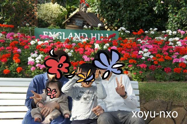 f:id:xoyu-nxo:20210328135529j:image