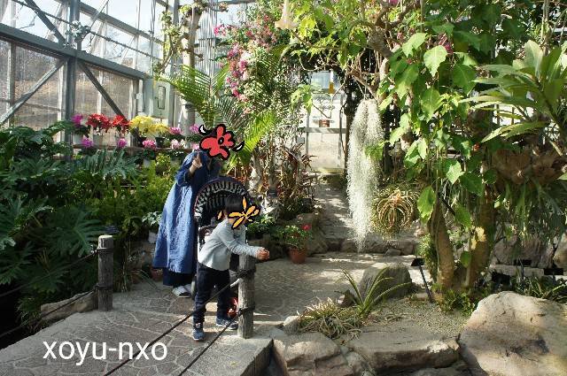 f:id:xoyu-nxo:20210328222608j:image