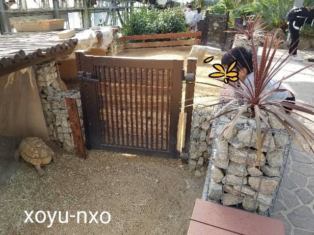 f:id:xoyu-nxo:20210328223443j:image