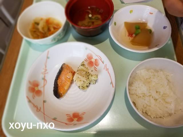 f:id:xoyu-nxo:20210813231415j:image