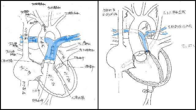 f:id:xoyu-nxo:20210919091903j:image